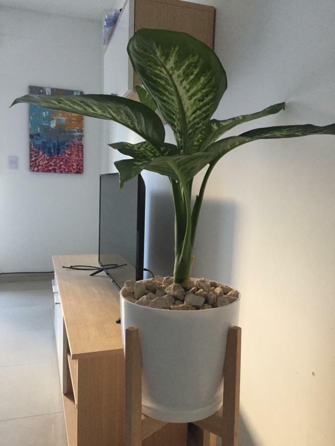 Trendy Full Apartment In Recoleta Buenos Aires Exteriör bild